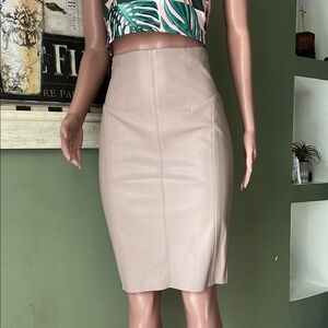 Express Light Blush Faux-Leather Pencil Skirt